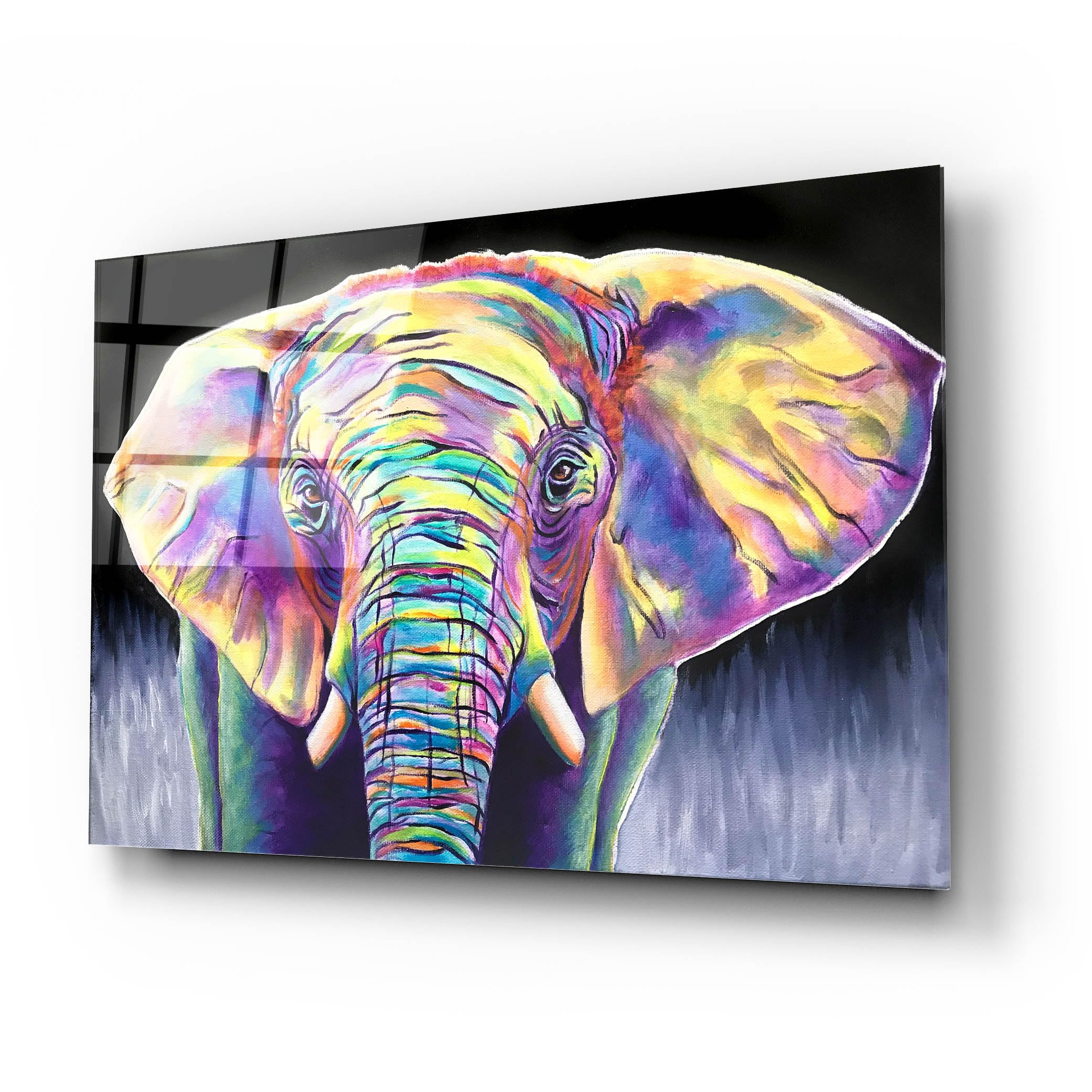 Amazon.com: Epic Art 'Elephant - Butterfly' by Dawg Painter